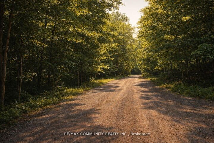 12 Con Concession — photo 1