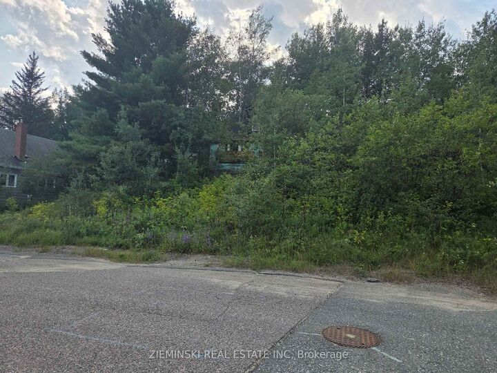 Property Photo:  296 Hayes Street  ON P0K 1T0 