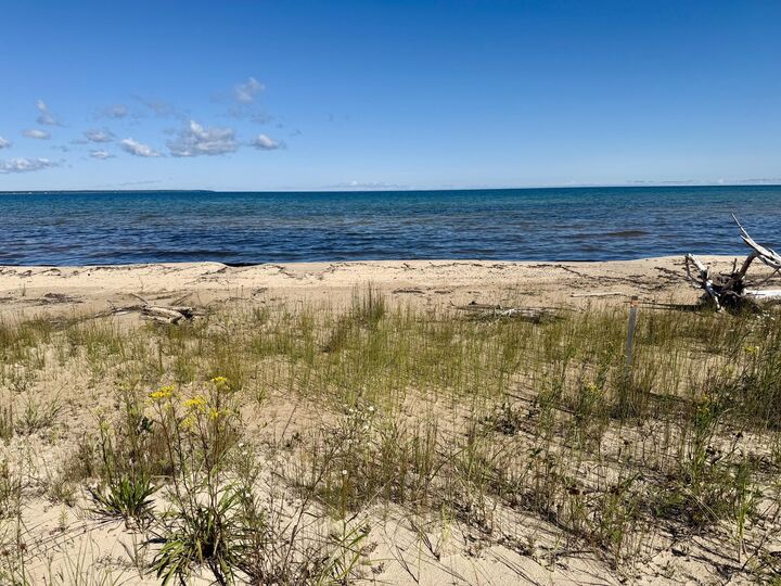 Property Photo: V/L Ray Drive MI 49759