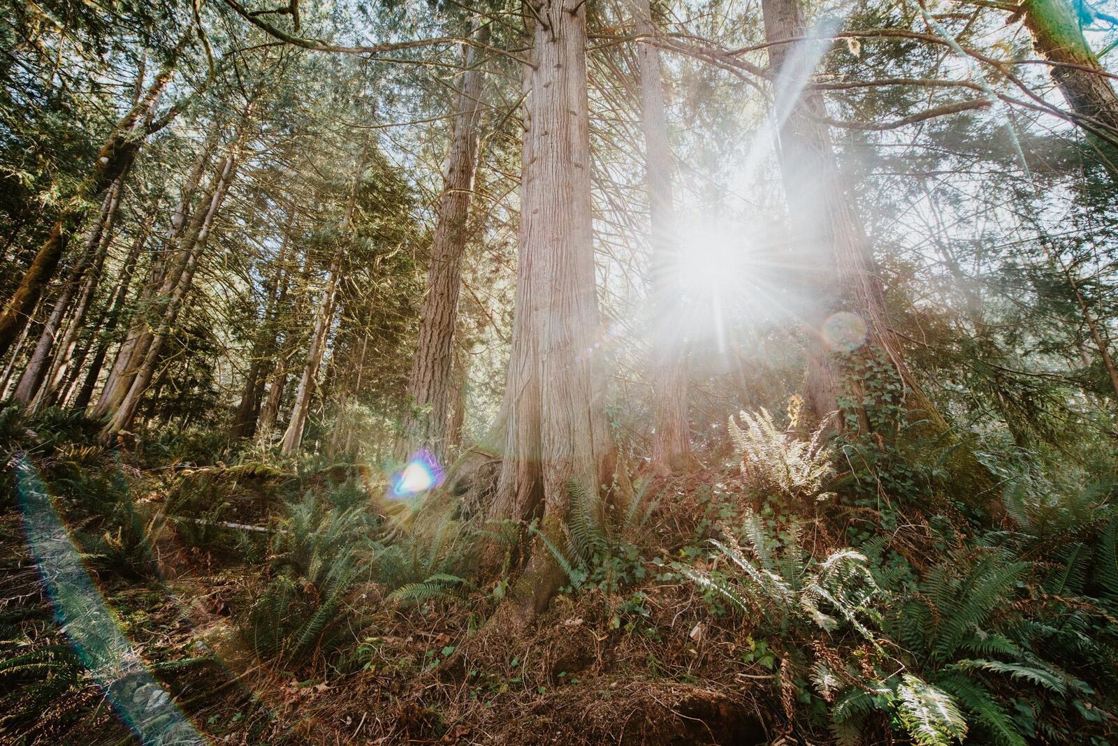 Property Photo: 5735 Naylor Road BC V7Z 0C7