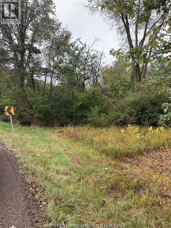 Property Photo:  V/L Brush Side Road  ON N8M 2X6 