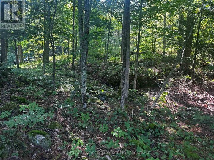 Property Photo:  434 Moorhead Lane  ON K0E 1L0 