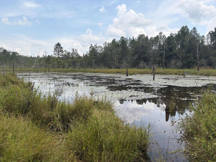 Property Photo:  X Sherman Kennedy Road  FL 32531 