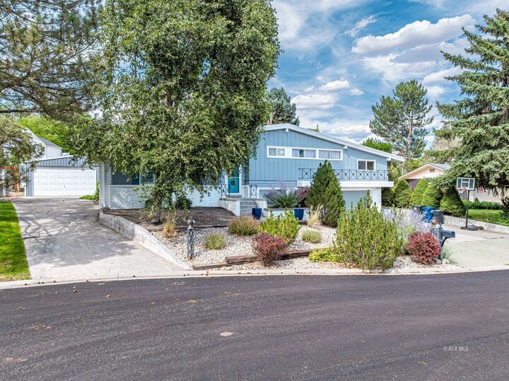 Property Photo: 1213 Hannah Drive NV 89801
