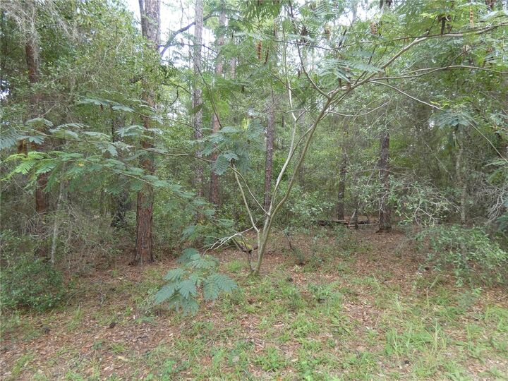 Property Photo: 10049 N Biscayne Drive FL 34434