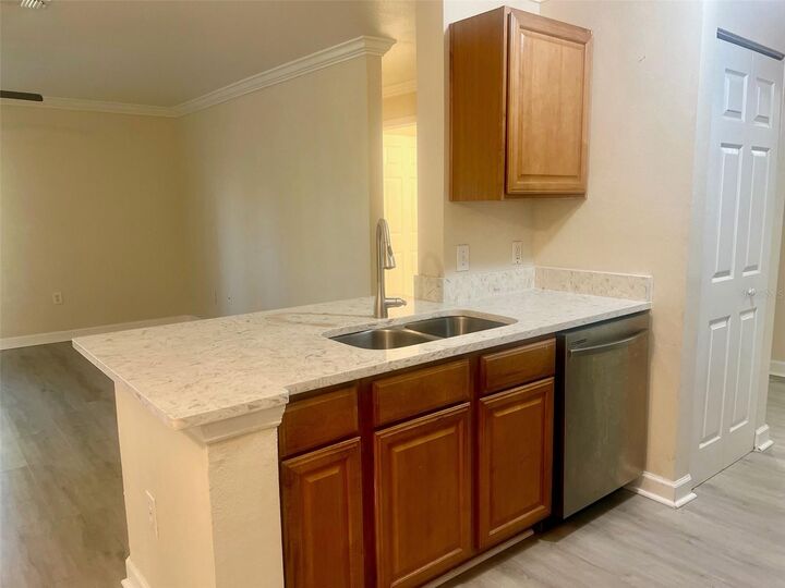 Property Photo:  18335 Bridle Club Drive 18335  FL 33647 