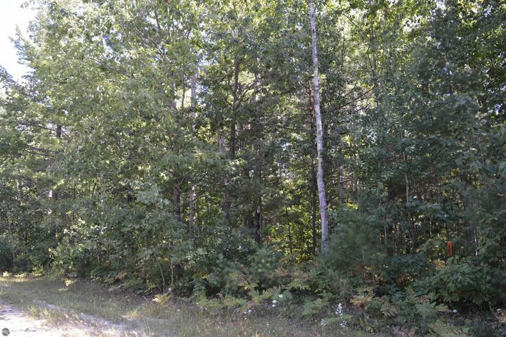 Property Photo: 2060 Driftwood Lane MI 49646