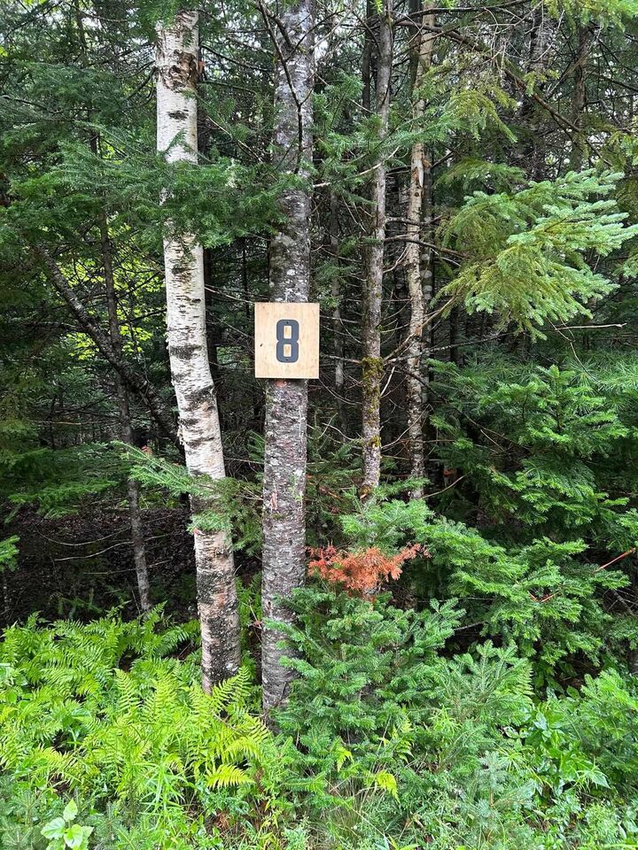 Property Photo:  Lot 8 No 7 Highway  NS B2G 2L3 