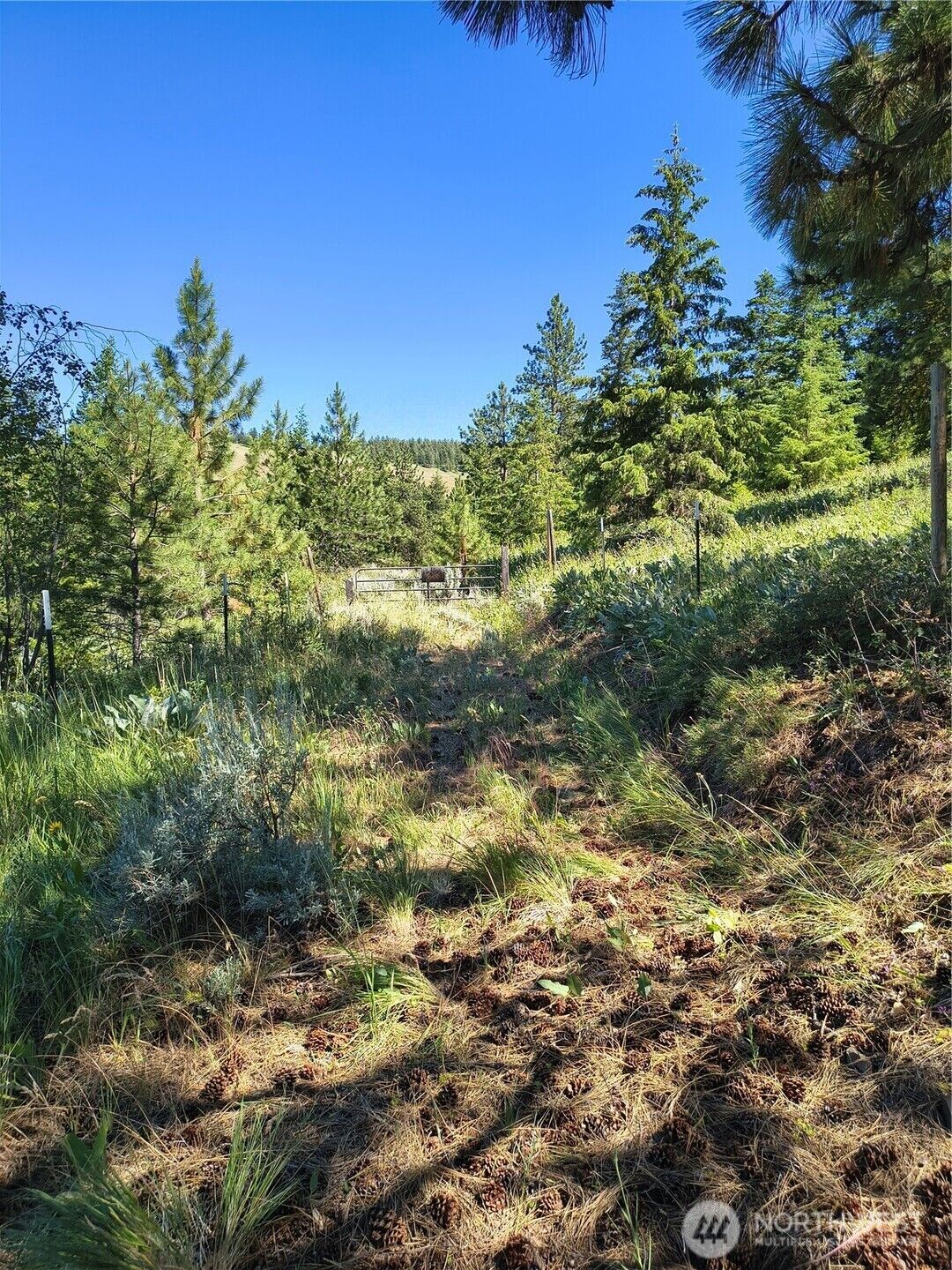 Property Photo: 0 Unassigned WA 98802