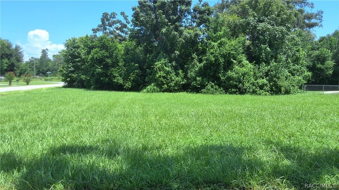 Property Photo:  704 Randolph Avenue  FL 34453 