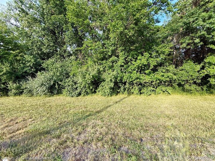 Property Photo:  01 Wayne Rd Wayne  MI 48174 