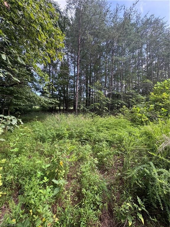 Property Photo: 0 Johnson Road NC 27021