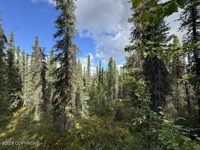 Property Photo:  Tr 15 Funny River Road  AK 99669 