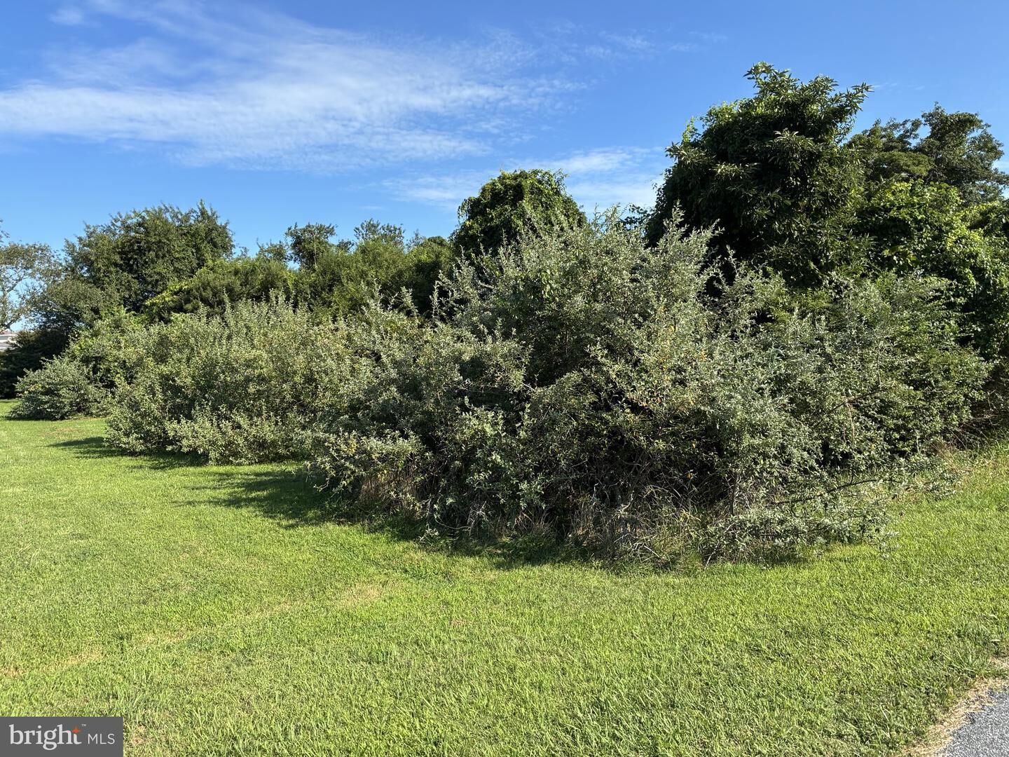 Property Photo:  0 Inlet  MD 21842 