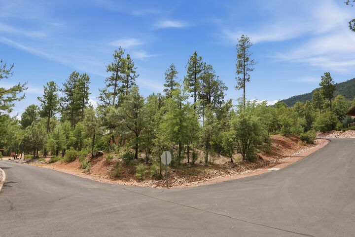 Property Photo: Lot 43 Strawberry Hollow AZ 85544