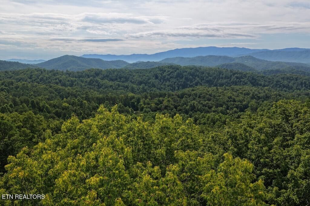 Property Photo: Shady Oaks Way TN 37876