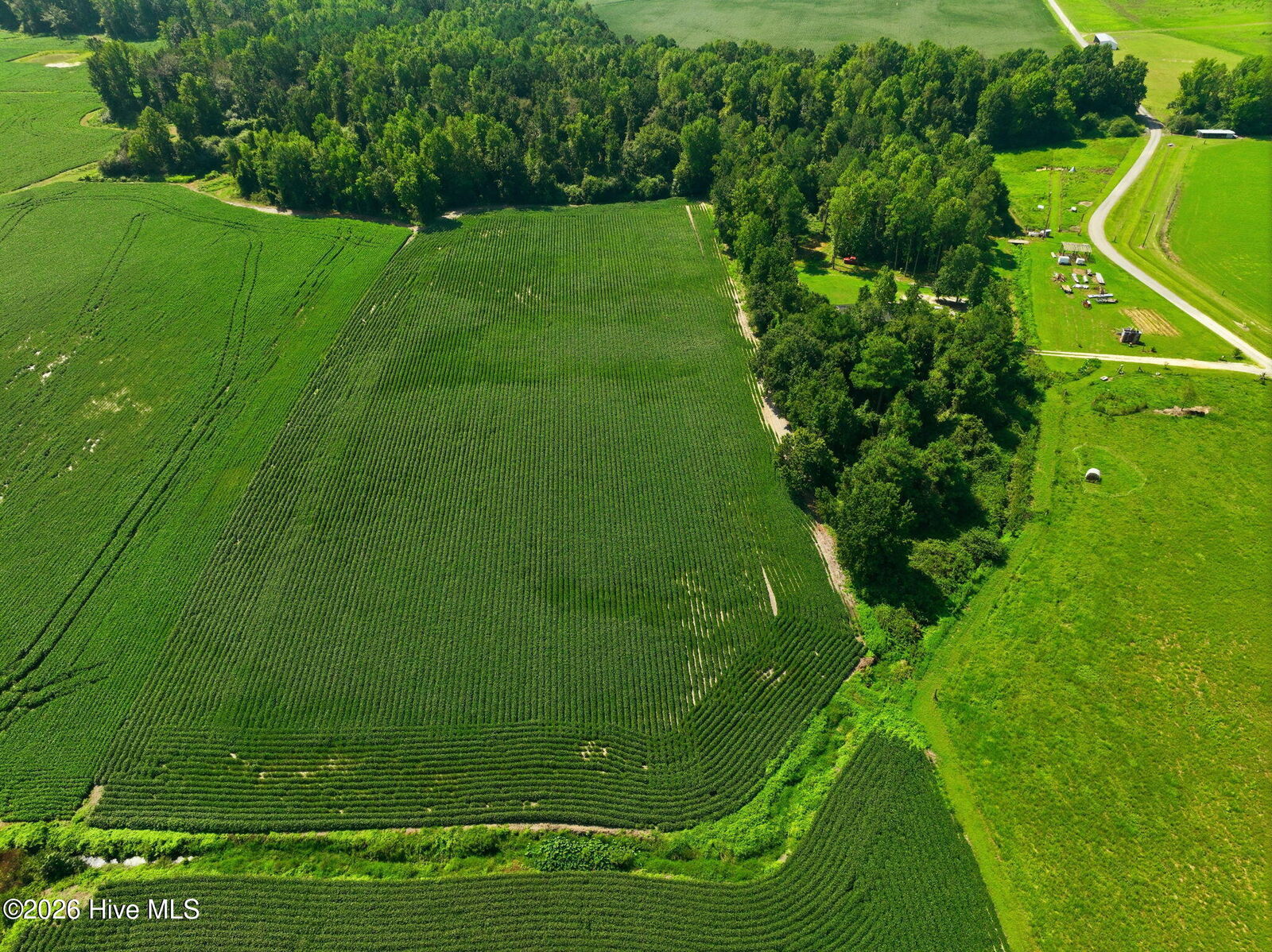 Property Photo:  0 S Nc 111 Highway  NC 28521 