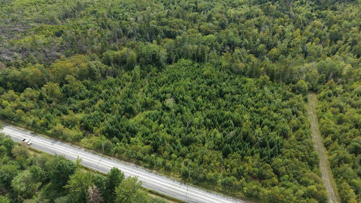 Property Photo:  Lot M15 Lake Road  NS B0N 1T0 