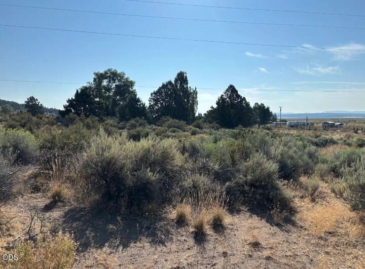 Property Photo: Josephine Street Lot 39 OR 97639