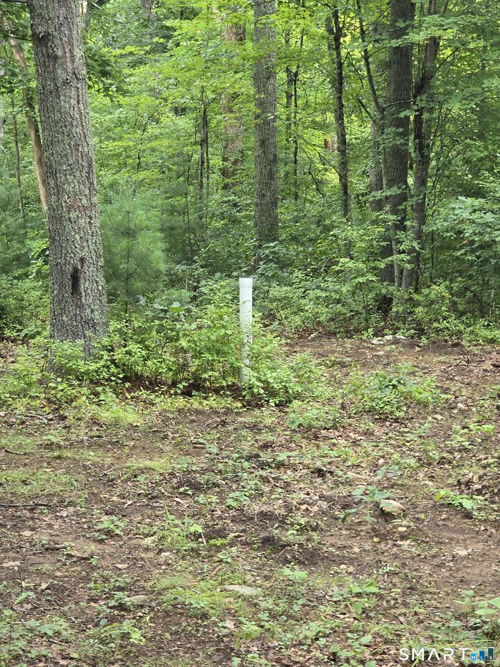 Property Photo:  30 Blackledge Drive  CT 06447 