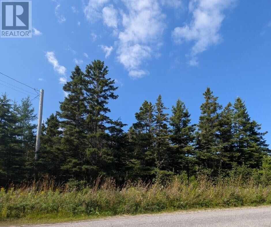 Property Photo: 0 Taylor's Road NL A0N 1Y0