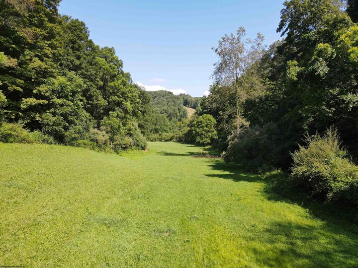 Property Photo: Tbd Hog Camp Road WV 26378