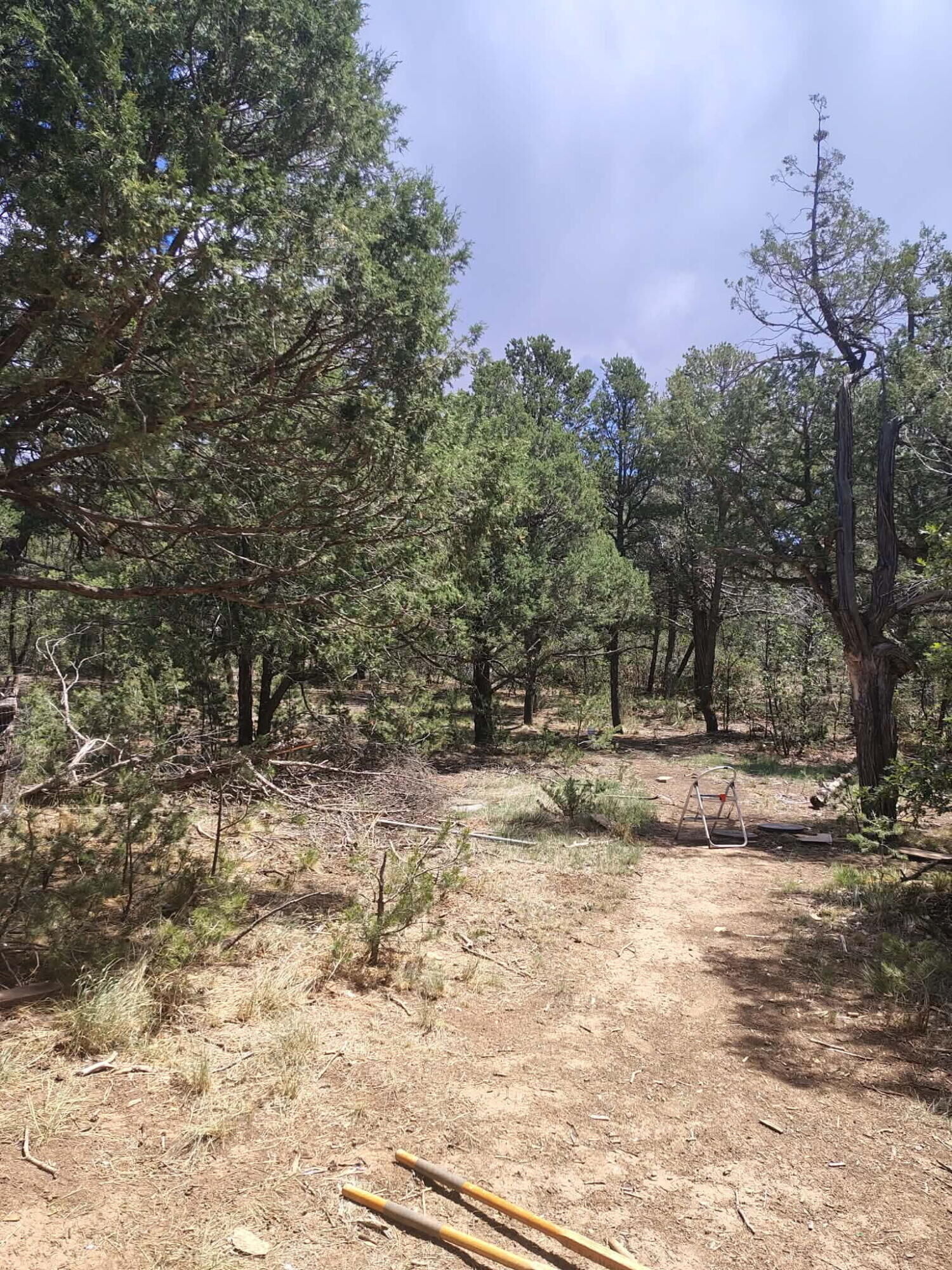 Property Photo:  12 Quail Hollow Road  NM 87059 