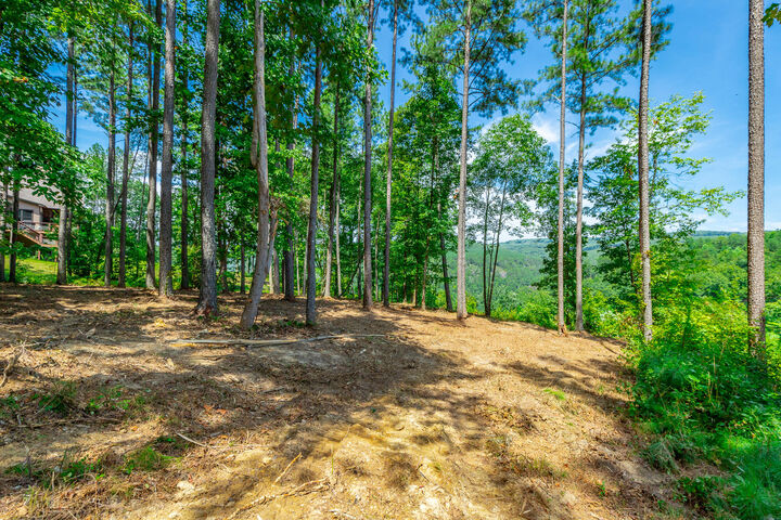 Property Photo:  0 Birds Eye Way  TN 37340 