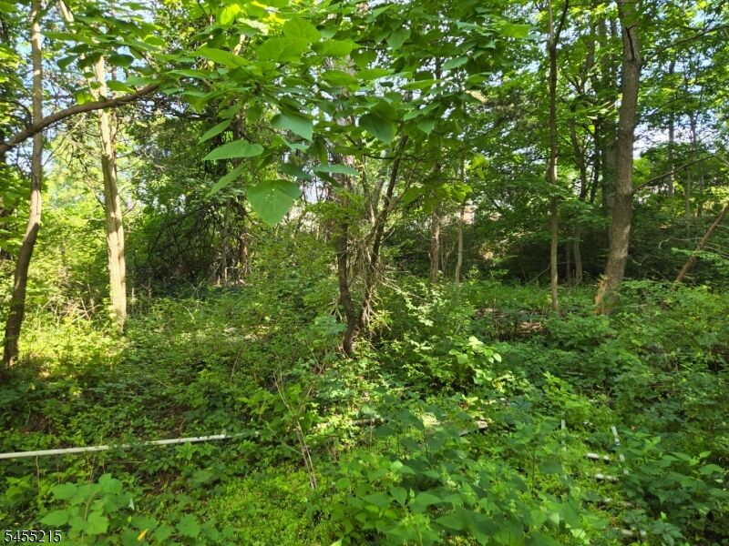 Property Photo: 2 Hewlett Rd NJ 07082