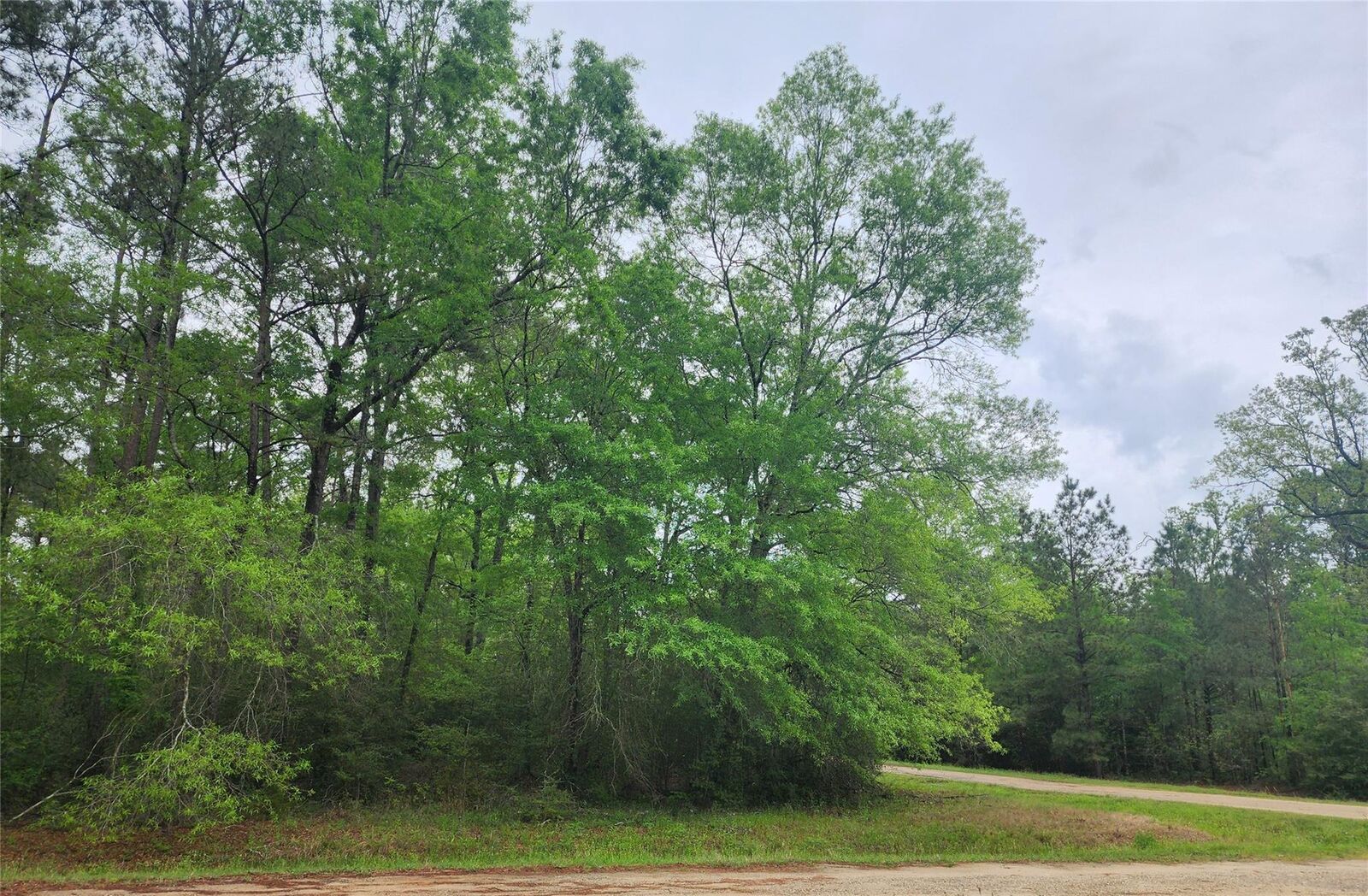 Property Photo: Tbd Cloverdale TX 77351