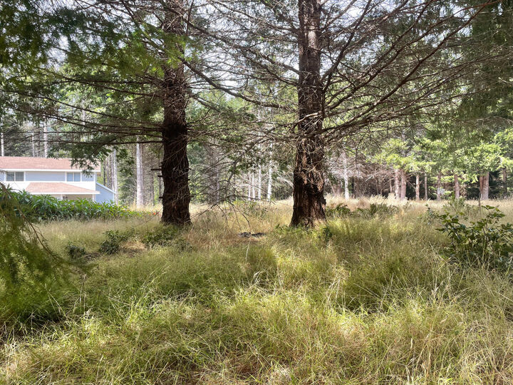 Property Photo:  243 Debbie Lane  CA 95589 