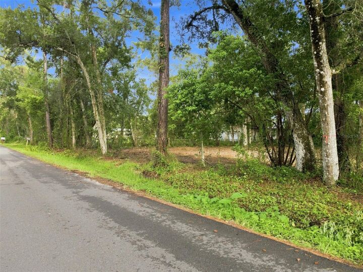 Property Photo: 0 Nicholas (Lot 7) Avenue FL 34604