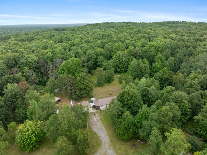Property Photo:  11642 S Woodland Drive  MI 49601 