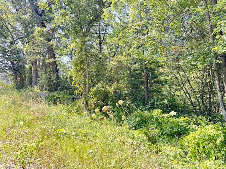 Property Photo:  8835 N Bingham Avenue  MI 49309 