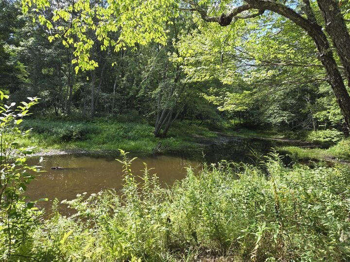 Property Photo: Lot 8 East Andover Road ME 04216