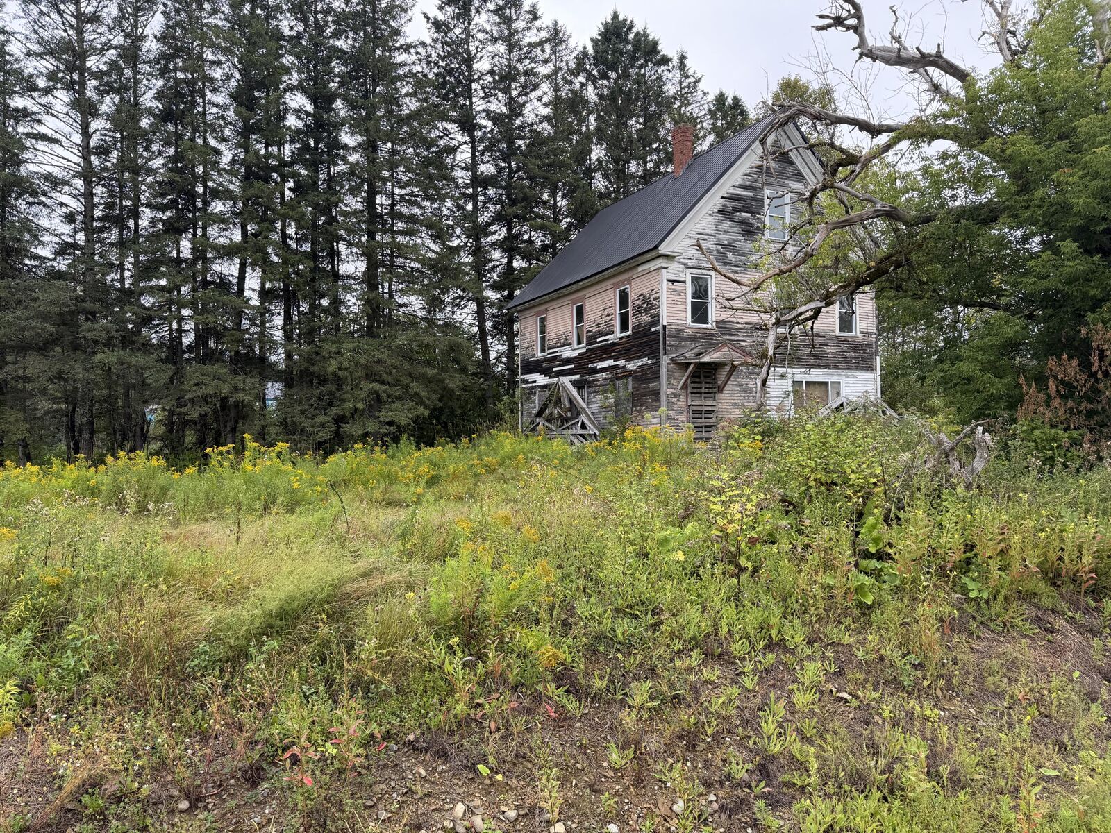 Property Photo:  352 Ladner Road  ME 04740 