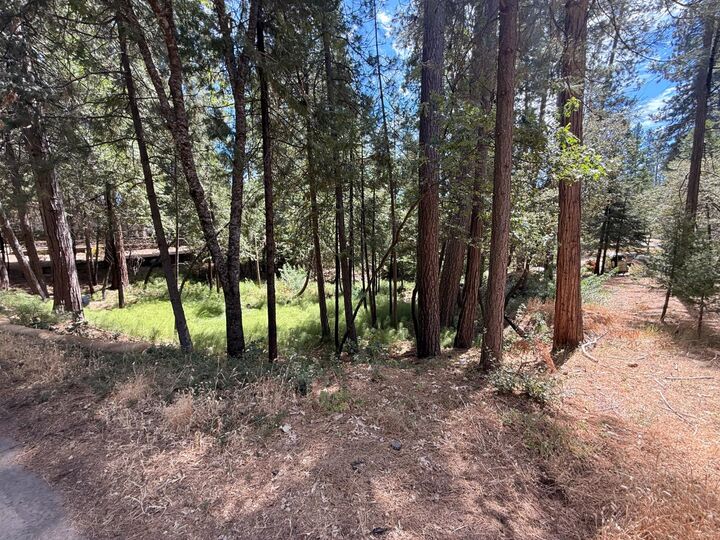 Property Photo:  558 Roan Way  CA 95224 