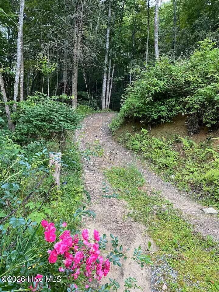 Property Photo:  00 Amber Lane  NC 28781 