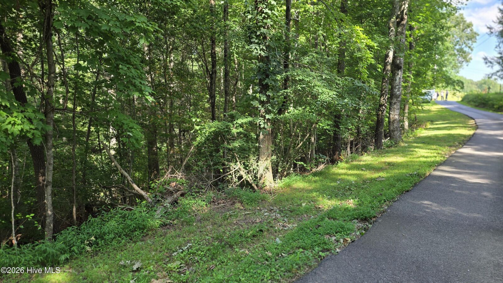 Property Photo: Lot 9 9 Peachtree Hills Lane NC 28906