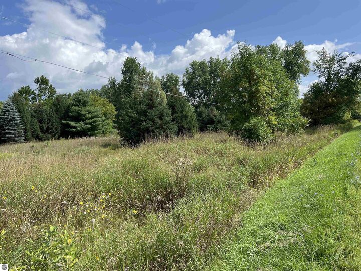 Property Photo:  E River Road  MI 48858 