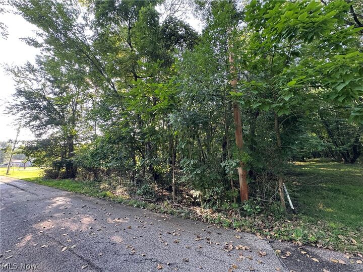 Property Photo:  Antone Avenue  OH 44278 