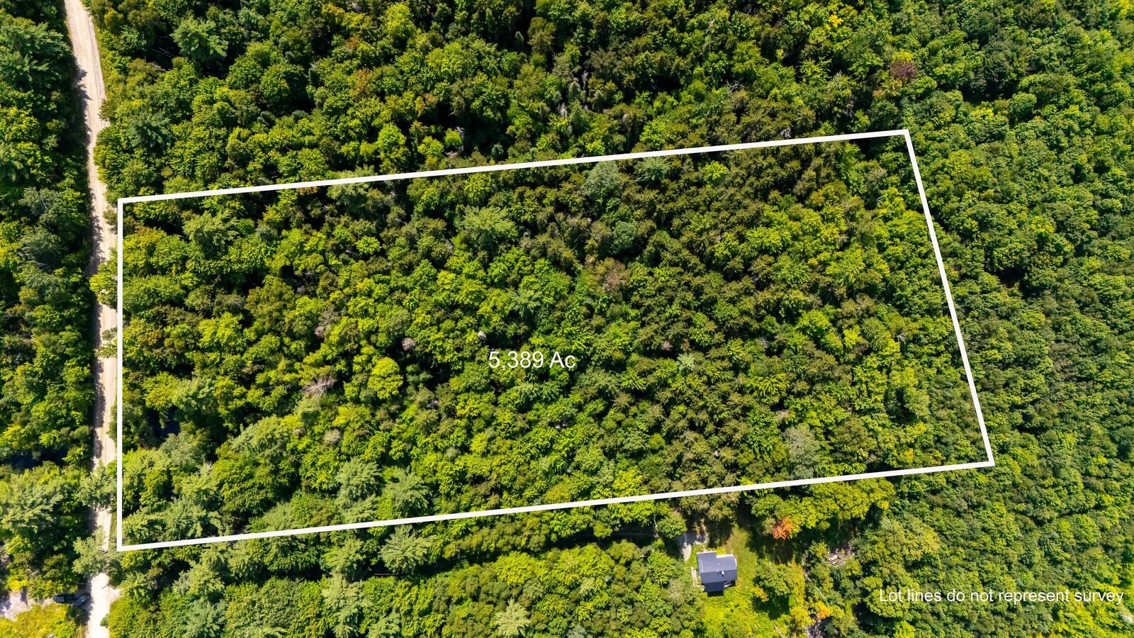 Property Photo: 00 Osgood Farm Road NH 03561