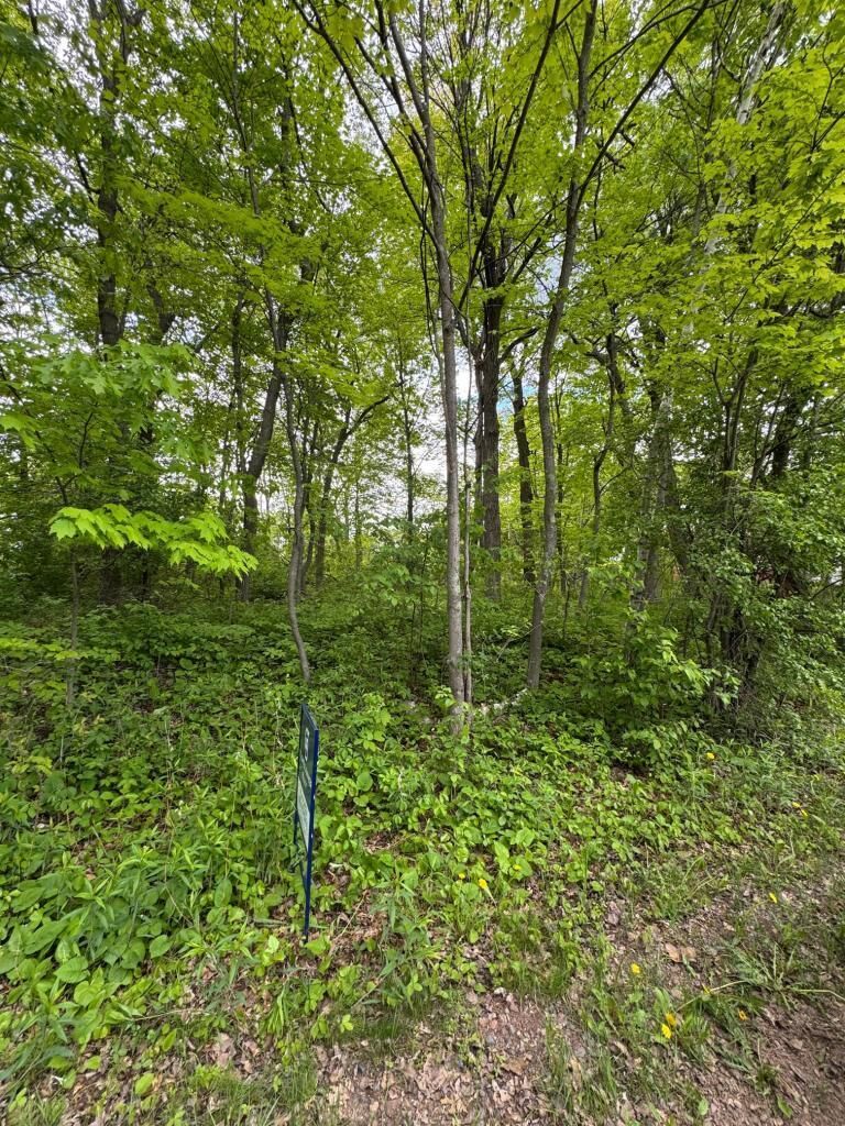 Property Photo: Xxxx 241st Avenue NE MN 55079