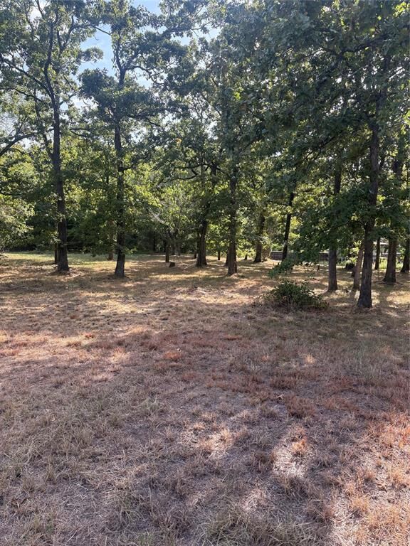Property Photo: 125 Point La Vista TX 75148