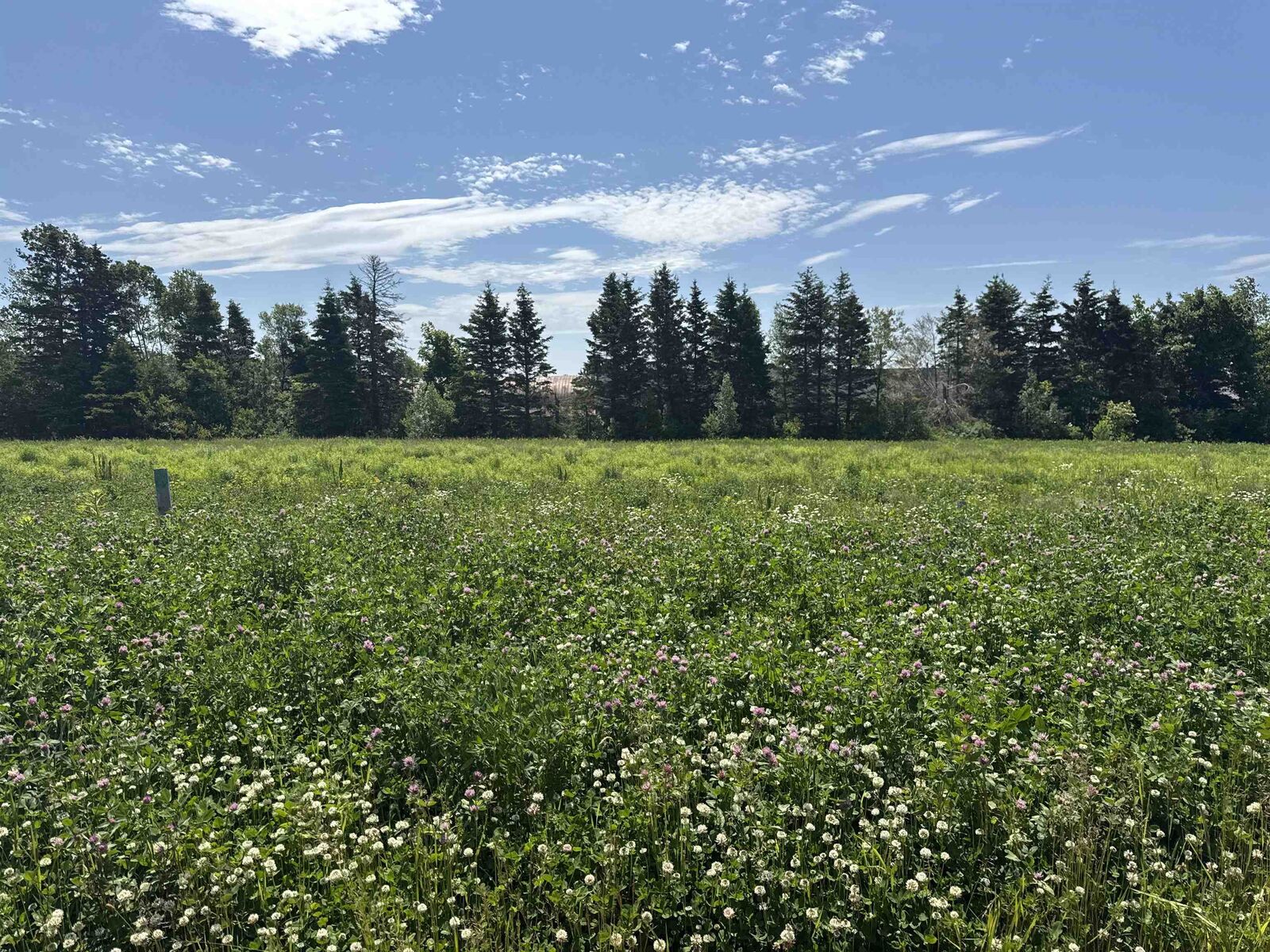 Property Photo:  Lot 191B Lucy Crescent  PE C1C 0S4 