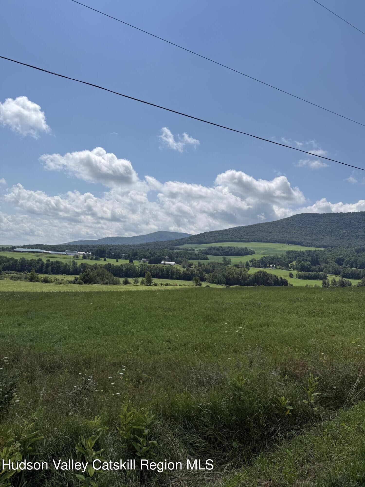 Property Photo:  Lot 4.36 Blackberry  NY 12076 
