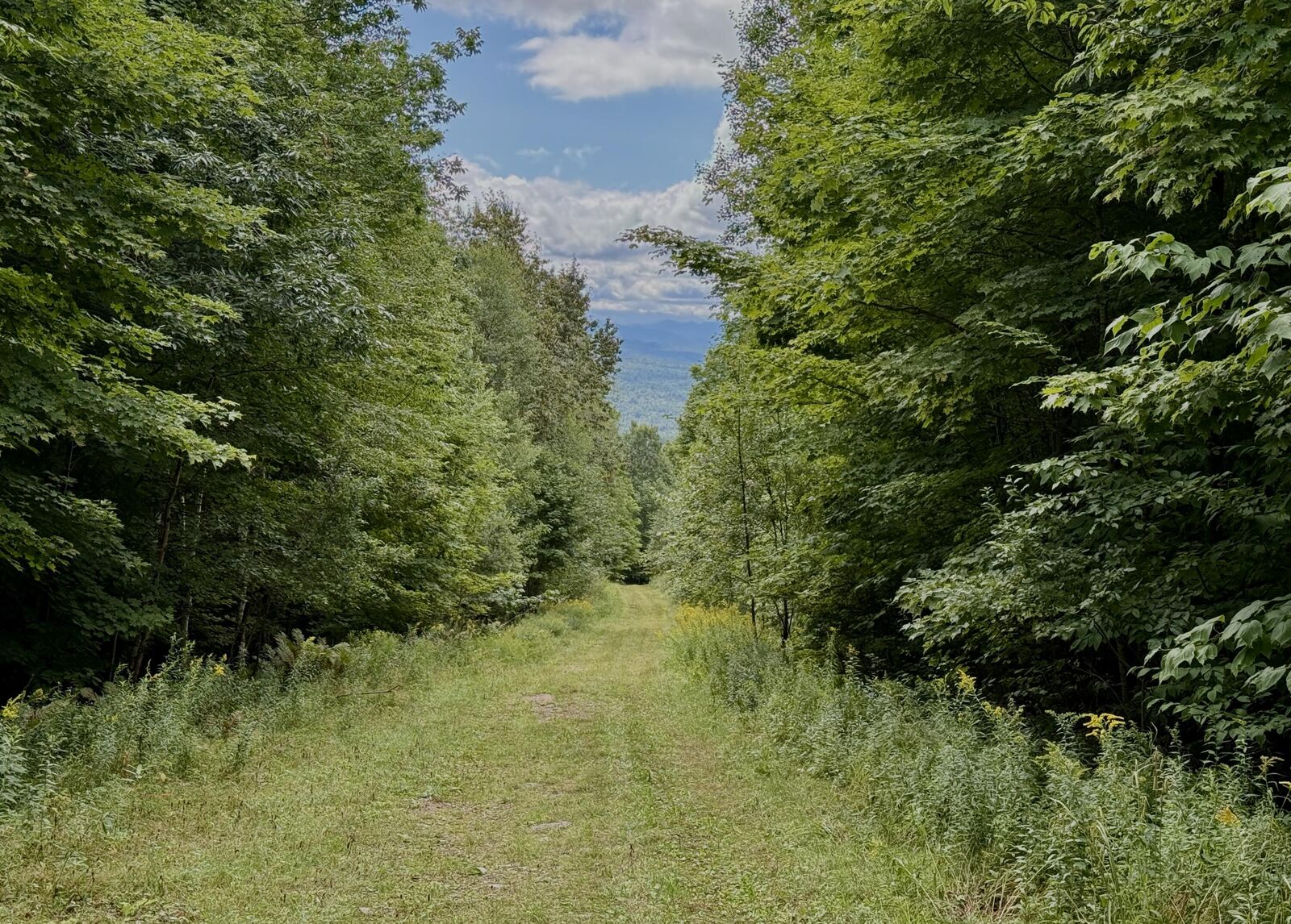 Property Photo: 0 Dann Road NY 12981