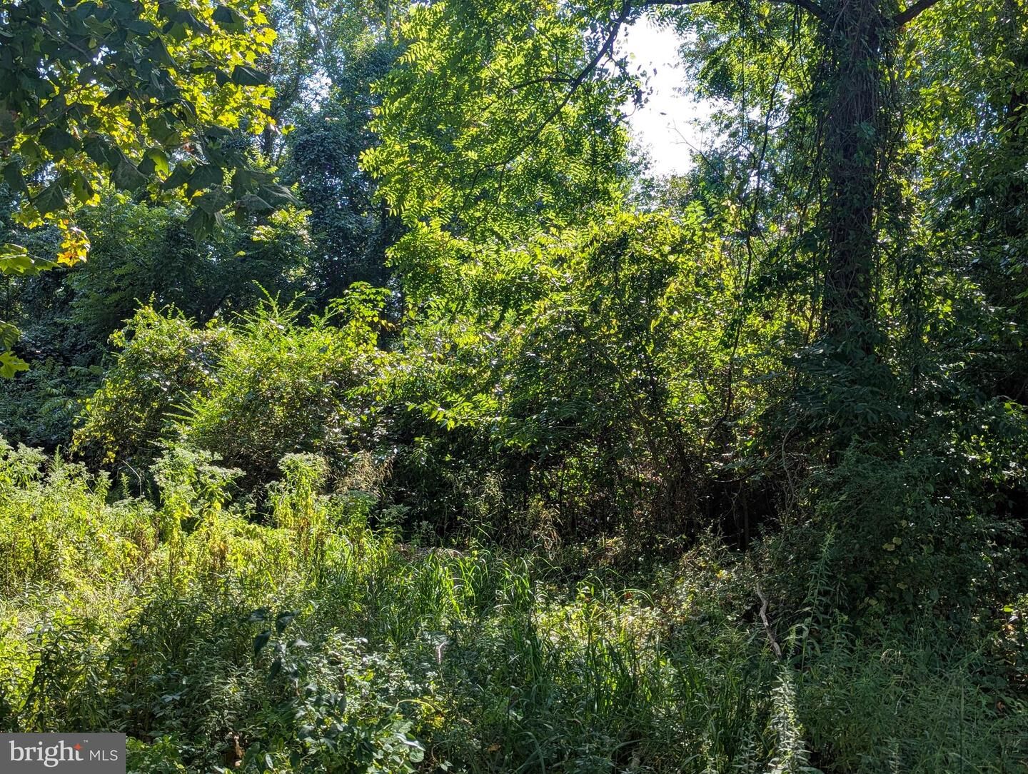 Property Photo: Oakley Drive MD 20618