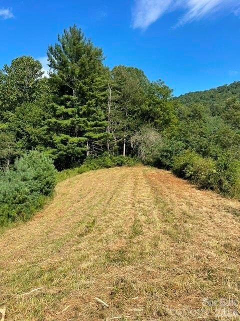 Property Photo:  105 Roberts Branch Road  NC 28753 