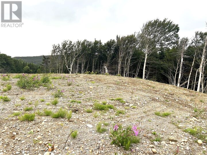 Property Photo:  Lot B Main Road  NL A0N 1T0 